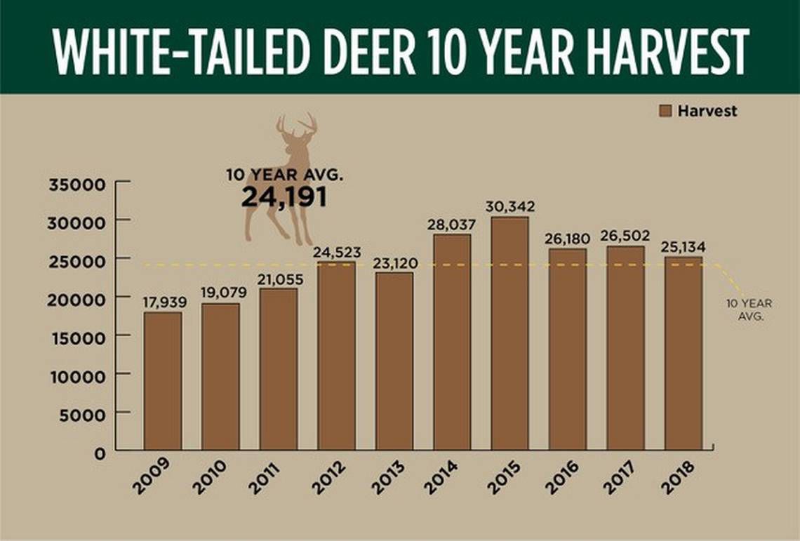 White-tailed deer 10-year harvest